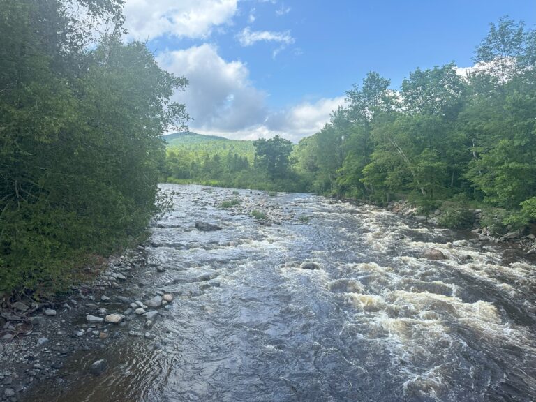 Find your Flow, Cool off in the river